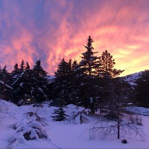 Meet your Posher, Maddie